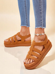 Camel || maro