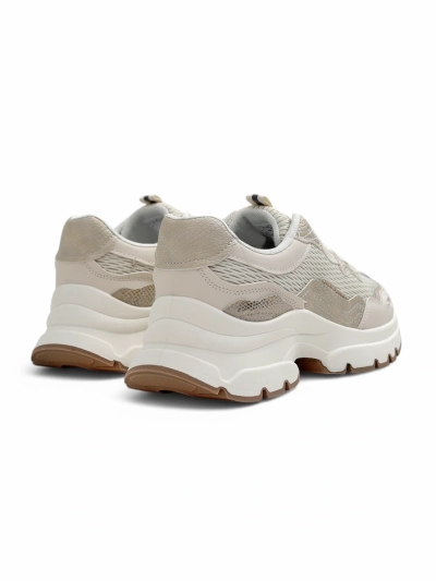 Royalfashion Pantofi sport pentru femei Totter