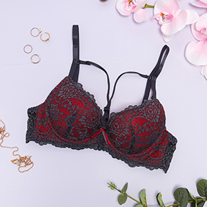 burgundia || gri porumbel || Gri închis