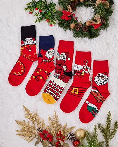 Royalfashion Șosete lungi pentru bărbați de vacanță 5/set