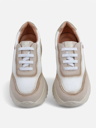 Royalfashion Adidași pentru femei Zarrni